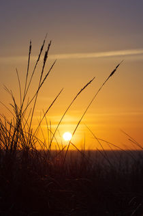 Sonnenuntergang - Insel Amrum by AD DESIGN Photo + PhotoArt