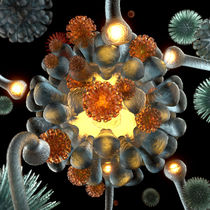 Beautiful World - BERNSTEIN-Blume - Koralle by Anil Kohli