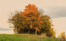 Herbstfarben von Erhard Hess