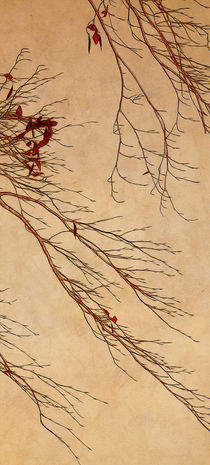 branches by Franziska Rullert
