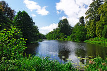 Along Mere Pond, Calke Park von Rod Johnson