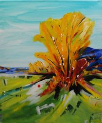 Autumn in Gatineau Park by Ursula E. Rettich