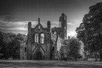 Kirkstall Abbey by Colin Metcalf
