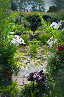 Water Garden von Colin Metcalf