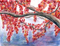 Herbstliche Farbenpracht in Rot by Caroline Lembke