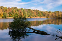 Bredenbeker Teich im Herbst I von elbvue by elbvue