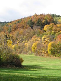 Herbstlicher Wald by Heike Rau