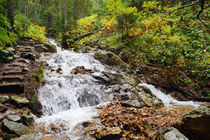 Wasserfall im Herbstwald, Waterfall in Autumn Forest by Sabine Radtke