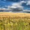 Img-0128-hdr-ft-s
