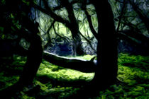 Mystical Forest von mario-s