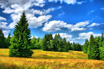 Thüringer Wald by mario-s