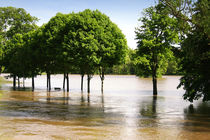 Überschwemmung by mario-s