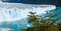 Moreno Glacier, Los Glaciares NP, Argentina by Tom Dempsey