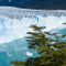 'Moreno Glacier, Los Glaciares NP, Argentina' von Tom Dempsey