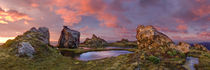 Hump Ridge sunrise, Fiordland NP, New Zealand by Tom Dempsey