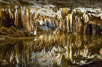 Luray Caverns pond reflection, Virginia, USA by Tom Dempsey