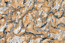 Abstract rock pattern, Glacier NP, Montana, USA von Tom Dempsey