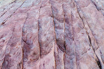 Valley of Fire: pink sandstone pattern, Nevada by Tom Dempsey