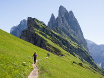 Geisler/Odle Group, Alpe di Seceda, Dolomites von Tom Dempsey