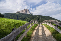 Idyllic path, Selva Gardena/Wolkenstein, Dolomites von Tom Dempsey
