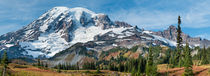 Mount Rainier, Lakes Trail, Mazama Ridge, Paradise, WA, USA von Tom Dempsey