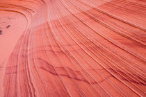 Navajo Sandstone patterns, Vermilion Cliffs, AZ von Tom Dempsey