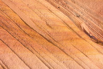 Navajo Sandstone line pattern, Vermilion Cliffs by Tom Dempsey