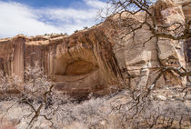 Royal arch, desert varnish, trees, Grand Staircase by Tom Dempsey