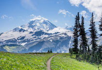 Mount Baker Wilderness, Washington, USA. by Tom Dempsey