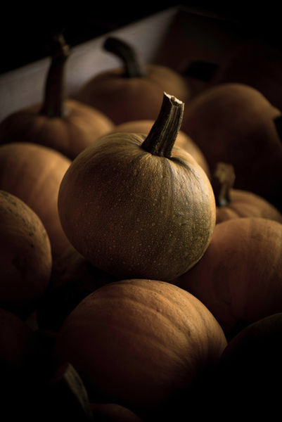 Pumpkin-in-the-dark