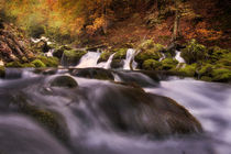 autumn creek V von Bor Rojnik