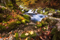autumn creek III von Bor Rojnik