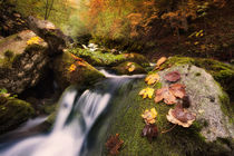 autumn creek II von Bor Rojnik