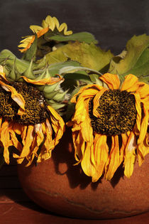 Vase mit Sonnenblumen. by pichris