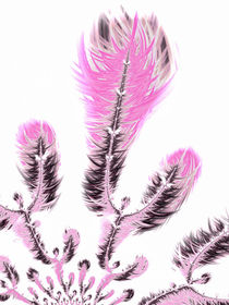 Fraktale Pflanze - florales Design in Pink und Weiss von Matthias Hauser