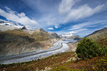 Aletsch Gletscher von Matthias Hauser