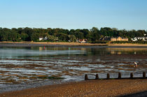Bembridge from St Helens At Low Tide by Rod Johnson