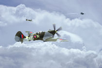 Spitfire XIV,  V-1 Hunter von James Biggadike