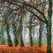 Herbstlicher-wald-abstrakt