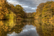 Autumn Ponds - 2 by David Tinsley