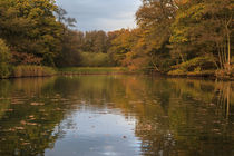  Autumn Ponds - 4 by David Tinsley