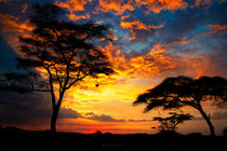 Sunset in the Serengueti by Víctor Bautista