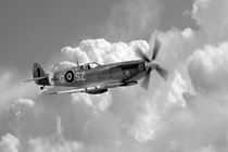 Polish Spitfire Ace by James Biggadike