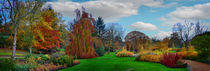 Autumn Panorama by Colin Metcalf