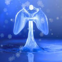 Seasonal Angel by Ronny Tertnes