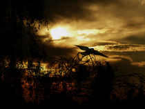 Dark Sunset von Stefanie Feldhaus