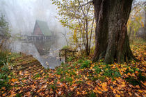 Cottage on the water in autumn von Zoltan Duray