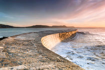 Sunkissed Cobb at Lyme Regis by Chris Frost