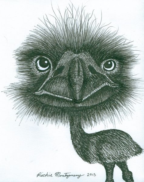 Emu-cropped