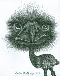 Emu by Richie Montgomery